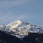 Vista Montagne By Interhome * バート・ホーフガシュタイン